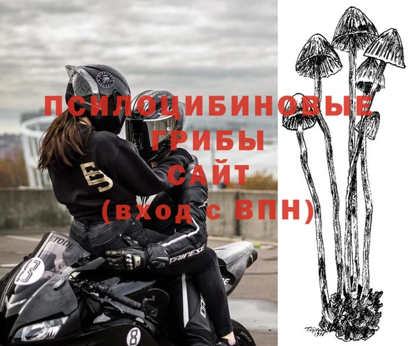 2c-b Баксан
